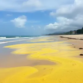 emergência ambiental