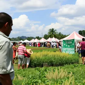 9ª Feira Estadual da Reforma Agrária