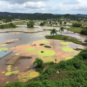 emergência ambiental em São Tomé de Paripe