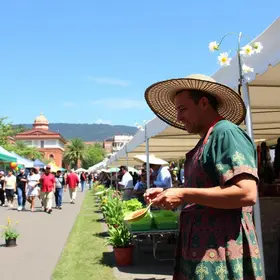 Festival da Primavera em Salvador