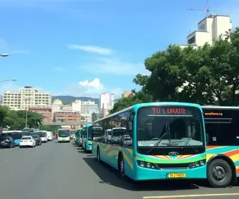 ônibus parados em Salvador